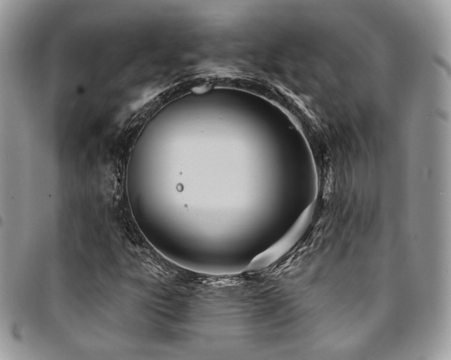 X0000095131303200712071258