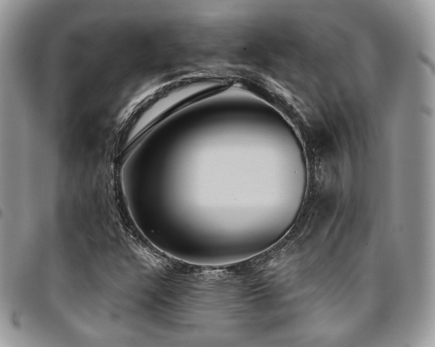 X0000095131304200712071258