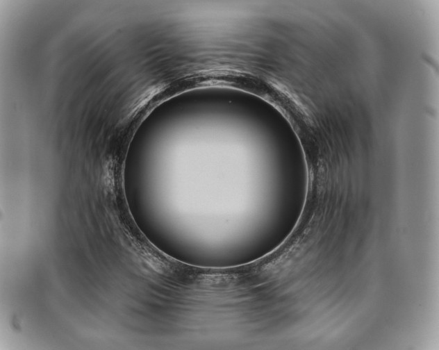 X0000095131305200712071258