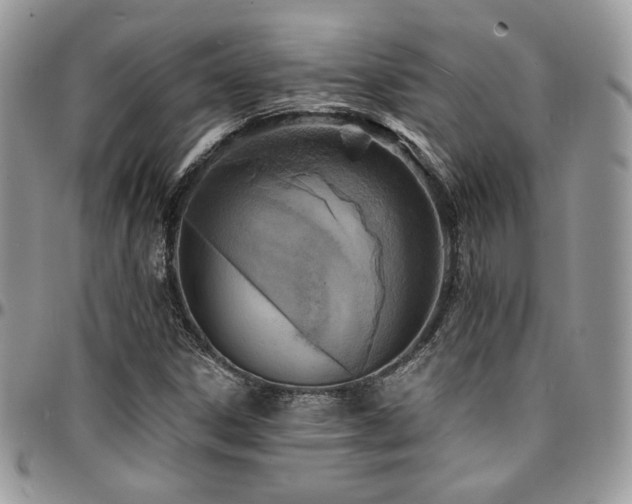 X0000095131306200712071258