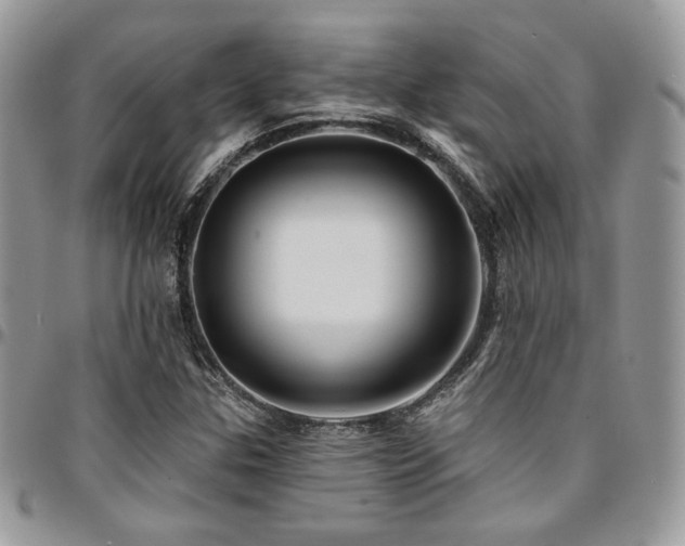 X0000095131307200712071258