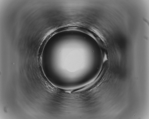 X0000095131308200712071258