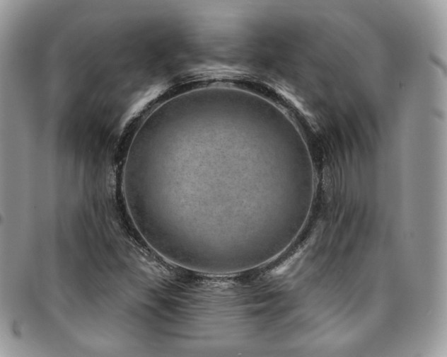 X0000095131309200712071258