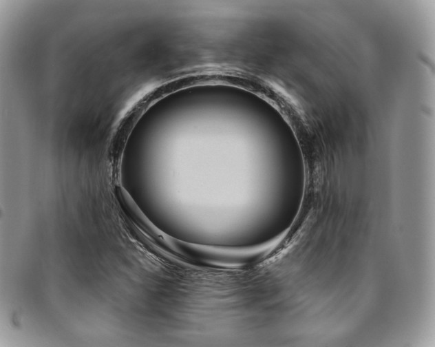 X0000095131310200712071258