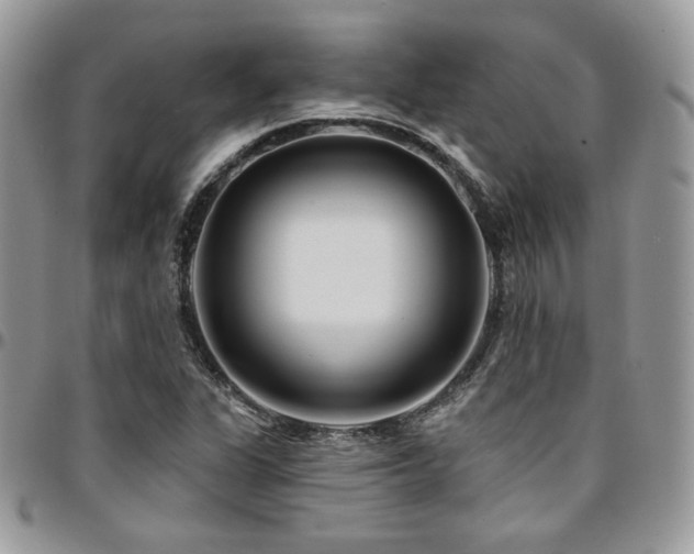 X0000095131311200712071258