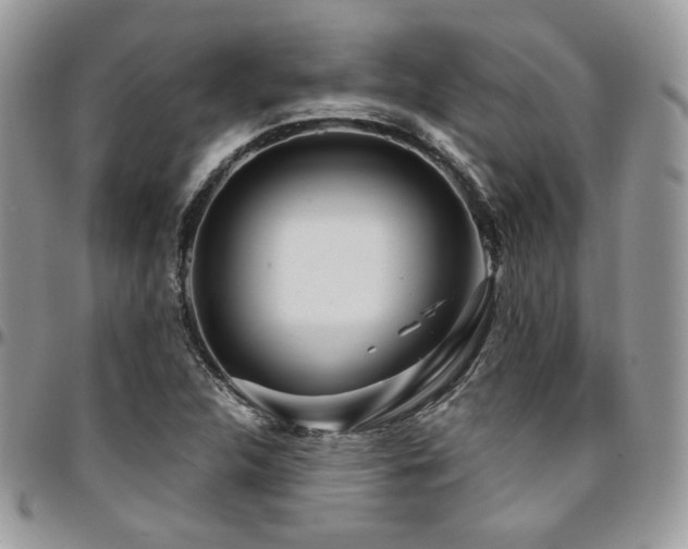 X0000095131312200712071258