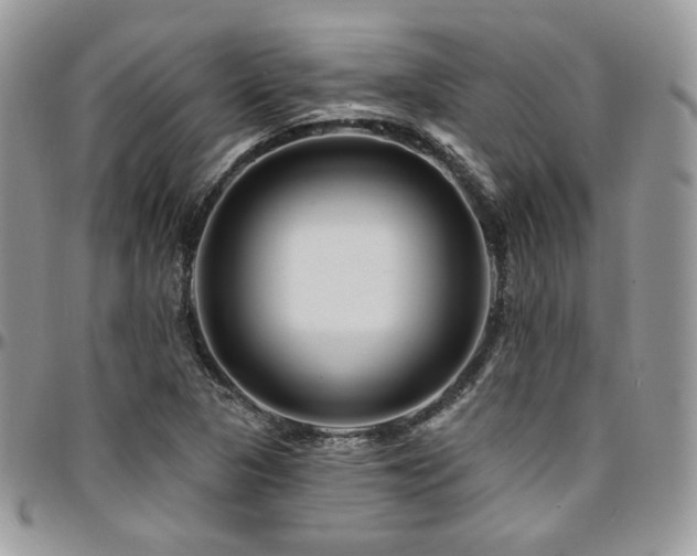 X0000095131313200712071258
