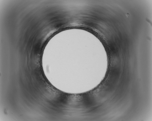 X0000095131314200712071258