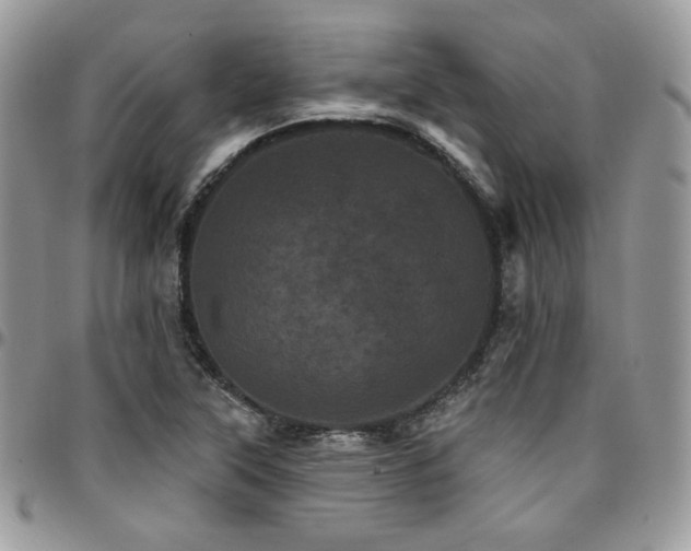 X0000095131315200712071258