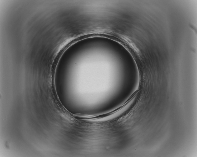 X0000095131316200712071258