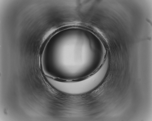 X0000095131320200712071258