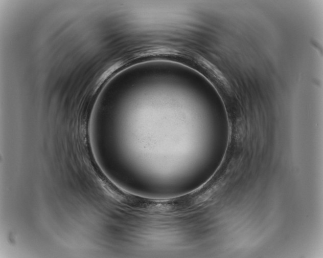 X0000095131321200712071258