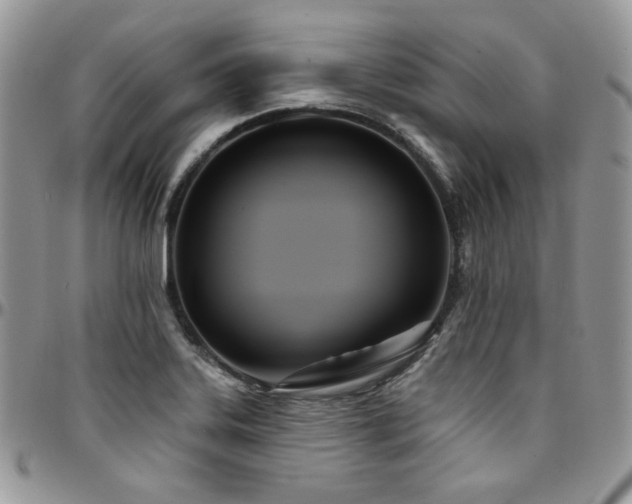 X0000095131323200712071258