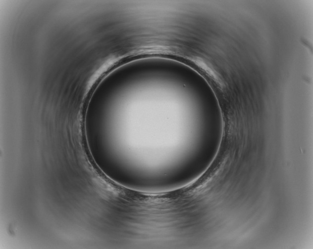 X0000095131325200712071258