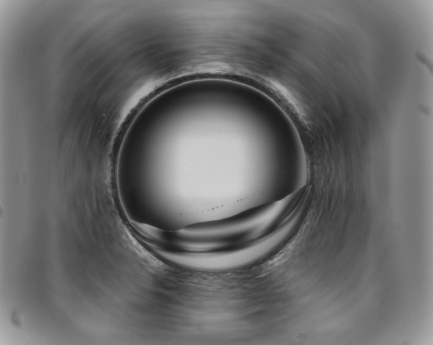 X0000095131326200712071259