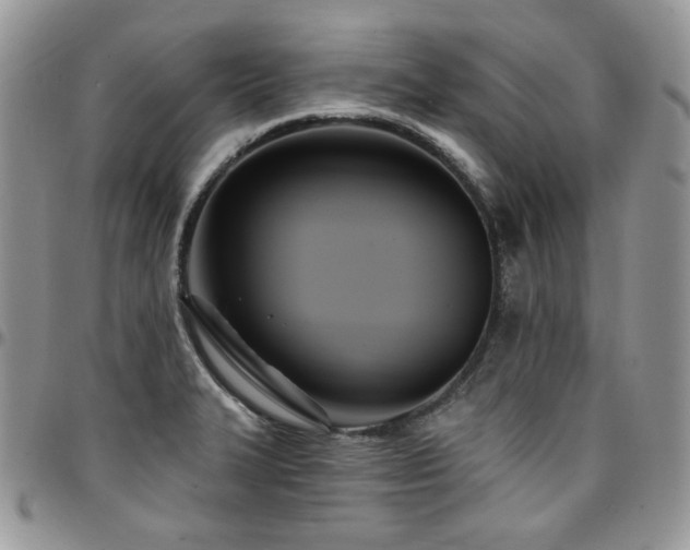 X0000095131327200712071259