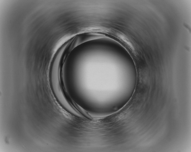 X0000095131328200712071259