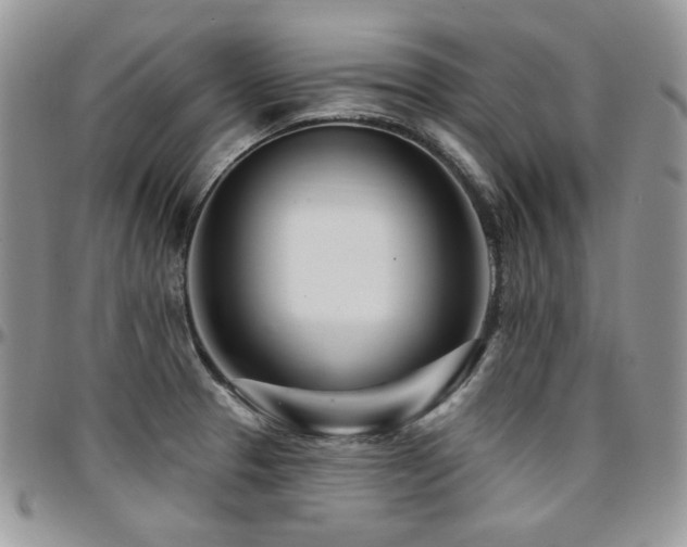 X0000095131329200712071259