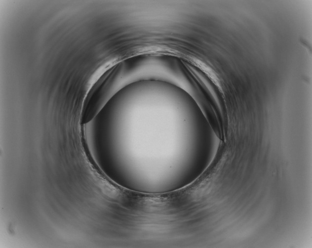 X0000095131330200712071259