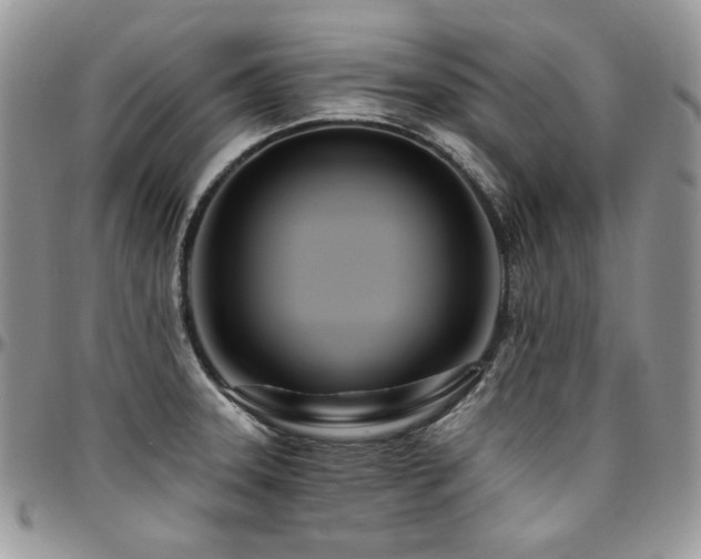 X0000095131331200712071259