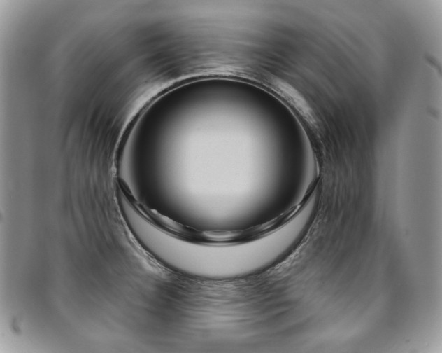 X0000095131332200712071259