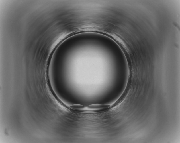 X0000095131333200712071259