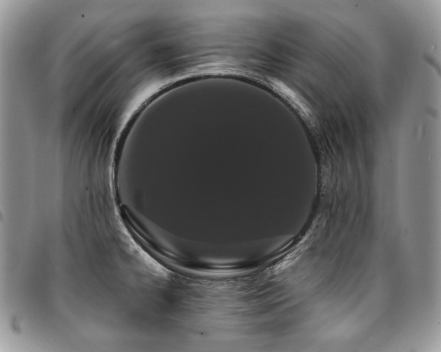 X0000095131334200712071259