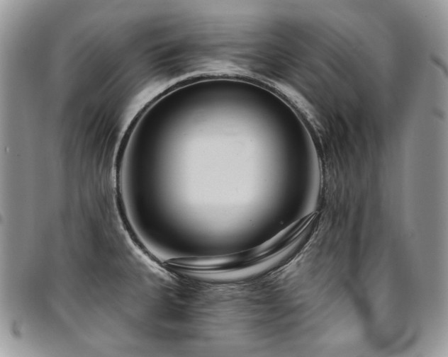 X0000095131335200712071259