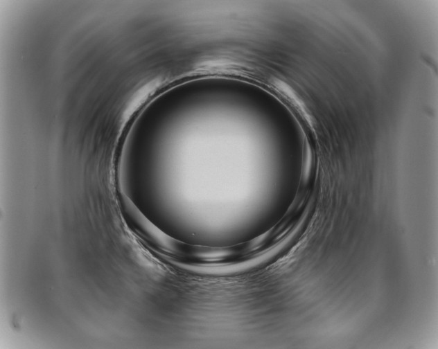 X0000095131336200712071259