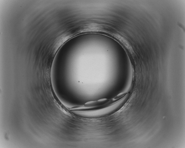 X0000095131337200712071259