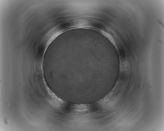 X0000095131338200712071259