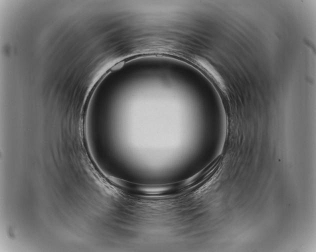 X0000095131340200712071259