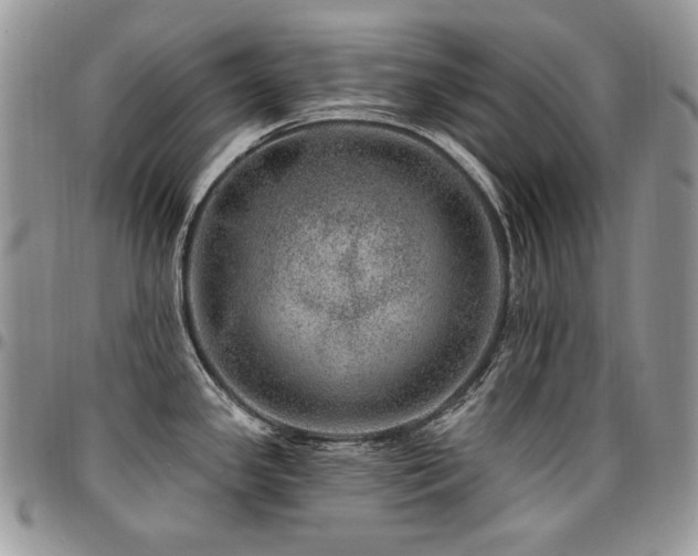 X0000095131341200712071259