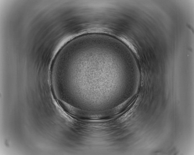 X0000095131342200712071259