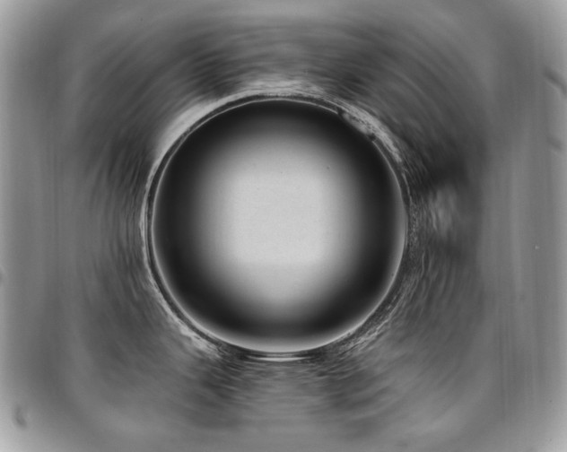 X0000095131343200712071259