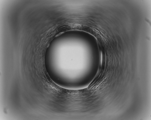 X0000095131345200712071258