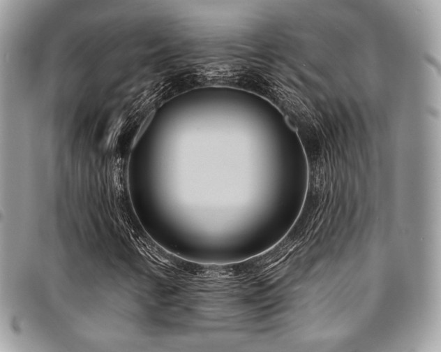 X0000095131346200712071258