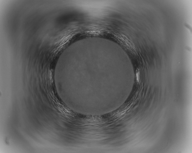 X0000095131347200712071258