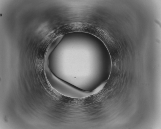 X0000095131348200712071258