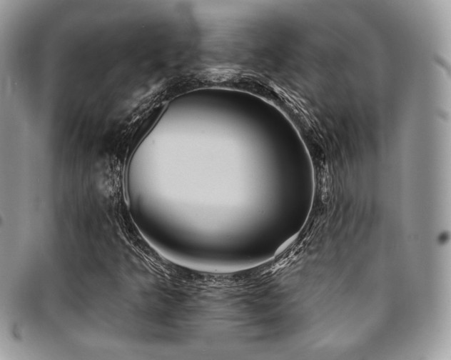 X0000095131349200712071258