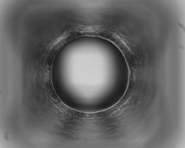 X0000095131350200712071258