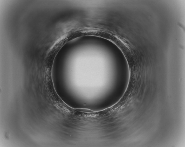 X0000095131351200712071258