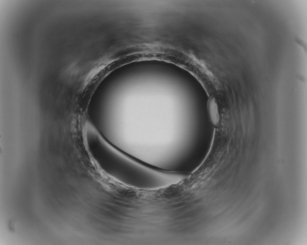 X0000095131352200712071258