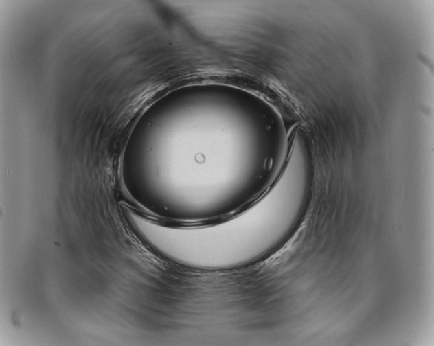 X0000095131353200712071258