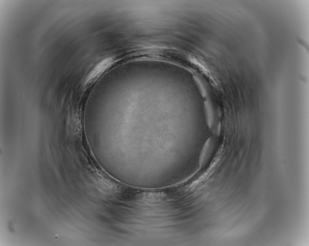 X0000095131354200712071258