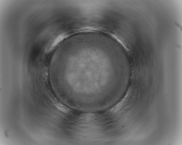 X0000095131355200712071258