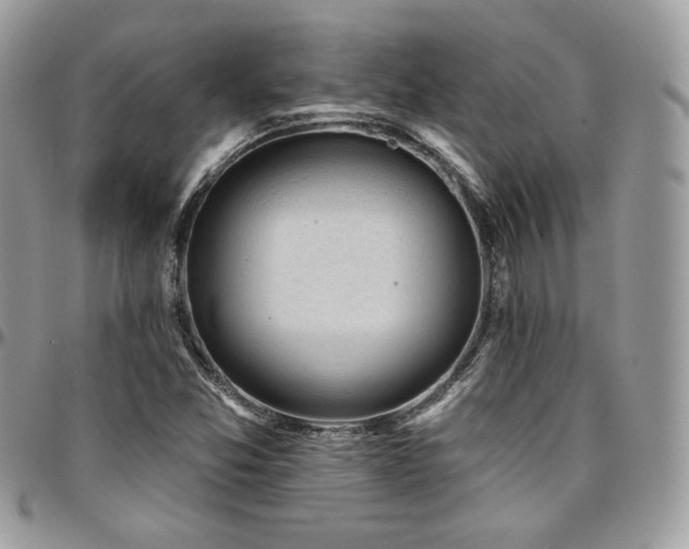 X0000095131357200712071258