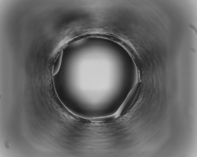 X0000095131359200712071258