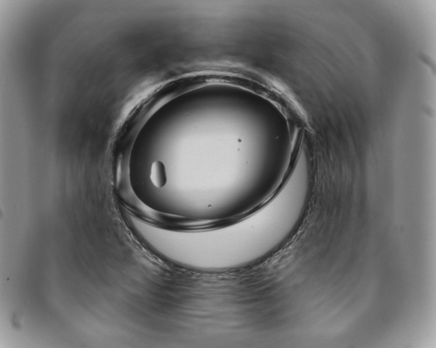 X0000095131360200712071258