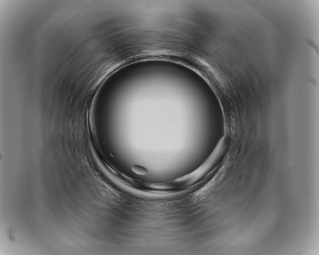 X0000095131361200712071258